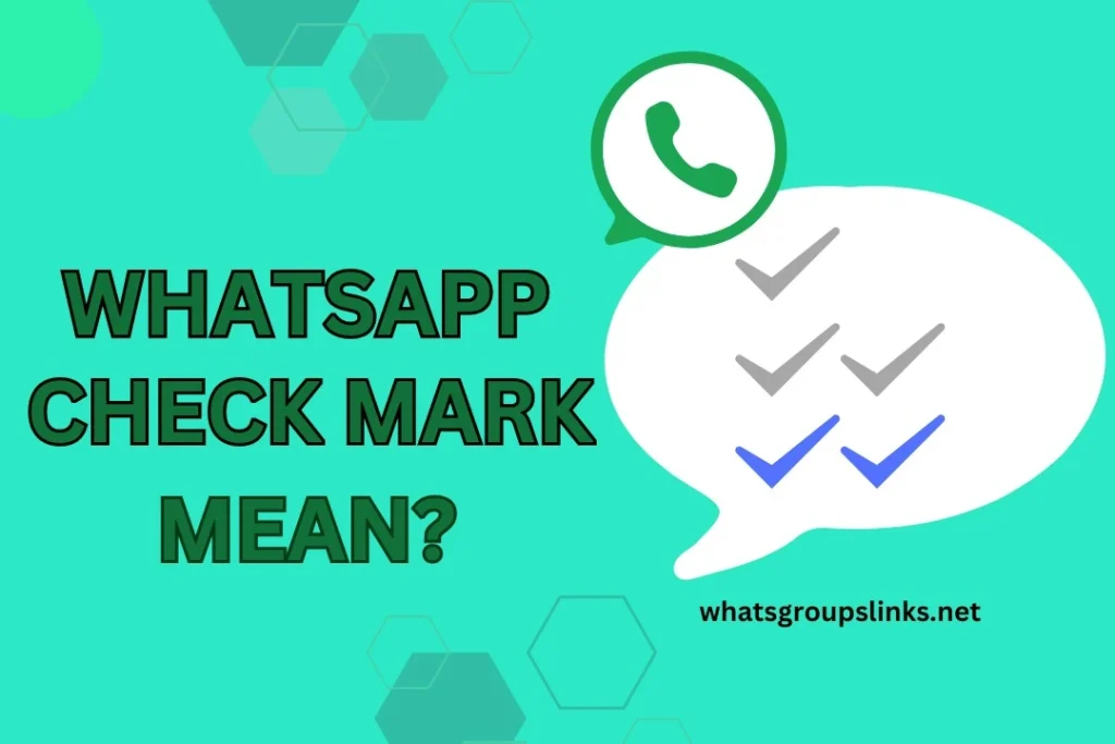 one check mark mean on WhatsApp