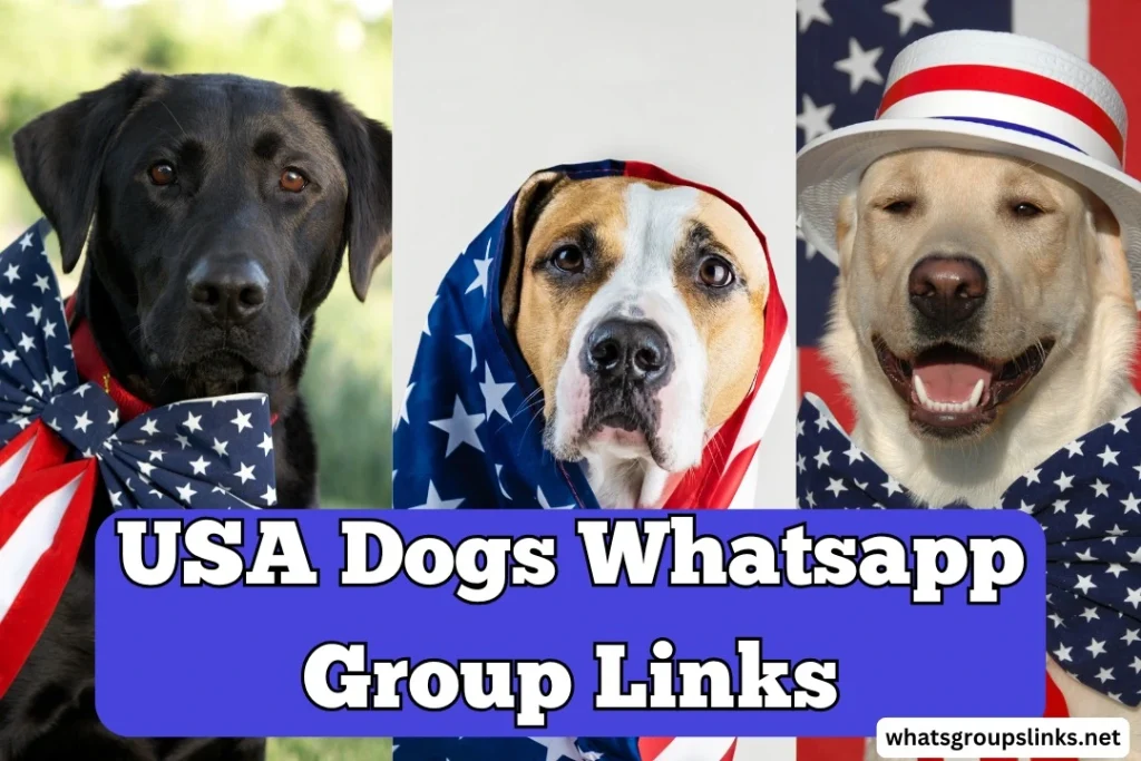 USA Dogs WhatsApp Group Links